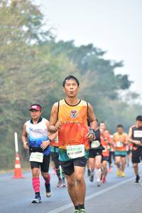 BIB: 26510
                            <button type="button" onclick="openModal(10135957)" class="btn btn-primary btn-sm float-right btn-popup" data-toggle="modal" data-target=".modal-high-quality">
                        <i class="fas fa-shopping-cart"></i> Add to Cart
                    </button>
                                            <button type="button" onclick="isThisMe(10135957, true)" class="btn btn-success btn-sm float-right btn-popup btn-isme hidden" data-toggle="tooltip" data-placement="bottom" title="นี่คือรูปของคุณใช่ไหม คลิกที่นี่เพื่อเอาเข้าอัลบั้ม">
                        <i class="fas fa-plus"></i> Add to album
                    </button>
                    <button type="button" onclick="isThisMe(10135957, false)" class="btn btn-warning btn-sm float-right btn-popup btn-isnotme hidden">
                        <i class="fas fa-ban"></i> Remove from album
                    </button>